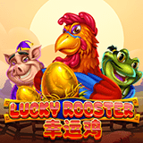 RTP joker winnerplay789